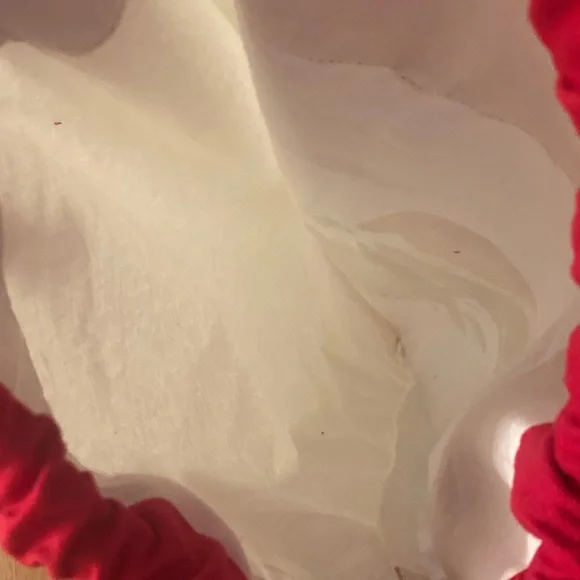 Holiday Christmas Bulb Dinosaur Canvas Cinch Sack Great Condition 20” W x 30” L - Picture 8 of 10